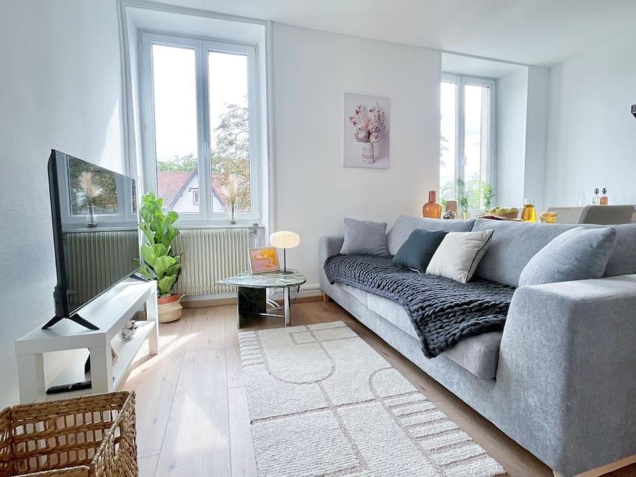 1 Appartement 3P Ideal Famille Travail Renove Lumineux Parking Gratuit 牟罗兹 外观 照片
