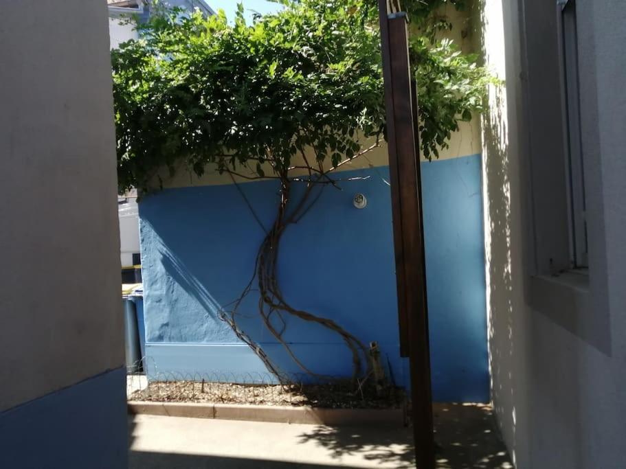 1 Appartement 3P Ideal Famille Travail Renove Lumineux Parking Gratuit 牟罗兹 外观 照片